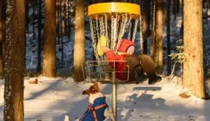 Read more about the article The Specifics of a Disc Golf Basket