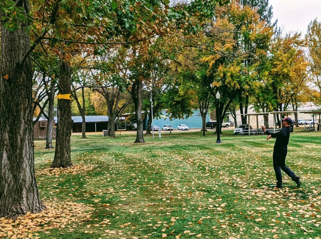 Forehand Disc Golf Throw