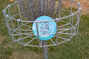 Read more about the article Best Cheap Disc Golf Discs of 2025