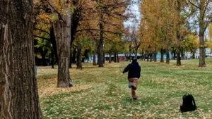 Read more about the article Best Straight Flying Disc Golf Discs