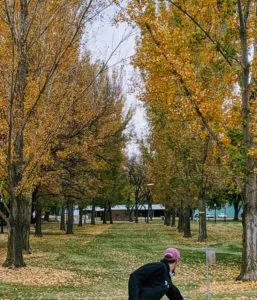 Straight Throw down a tunnel of trees