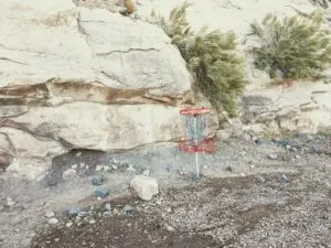 Read more about the article Thanks for a Great 2020 and Happy New Year!