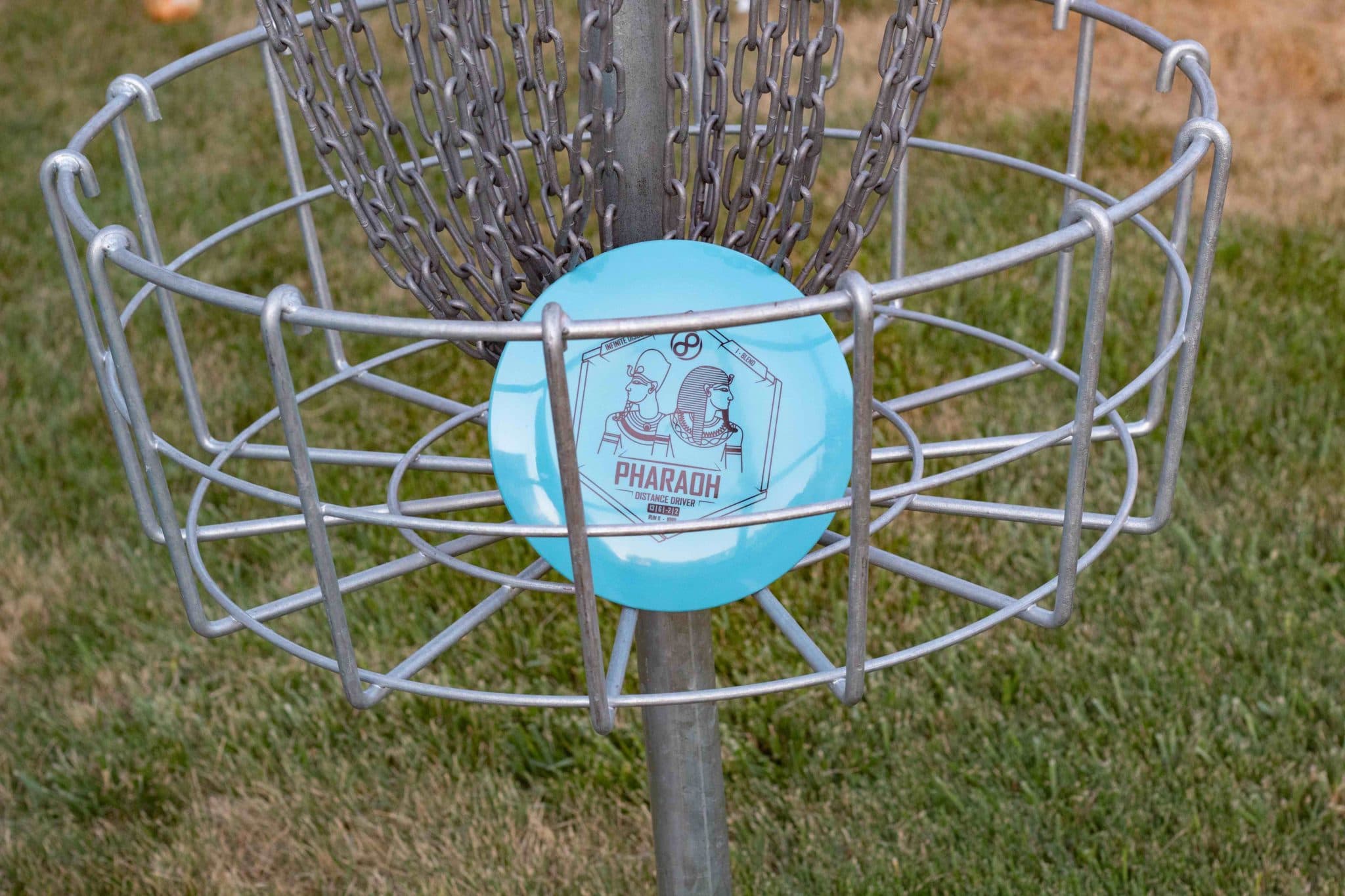 Best Disc Golf Discs For Beginners 2024 Guide