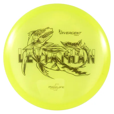Read more about the article Best Understable Disc Golf Discs