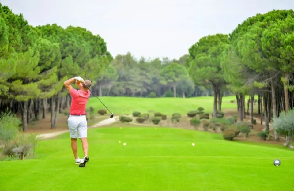 Difference Between Golf and Disc Golf Courses