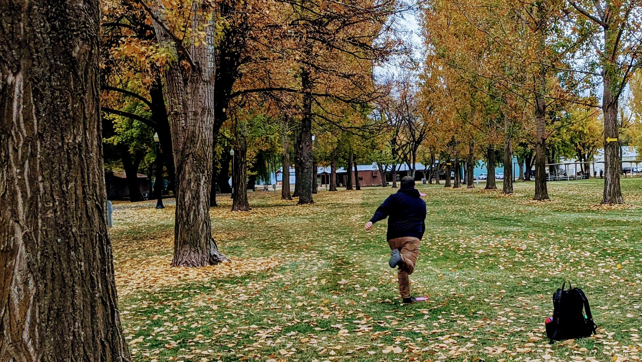 Best Straight Flying Disc Golf Discs